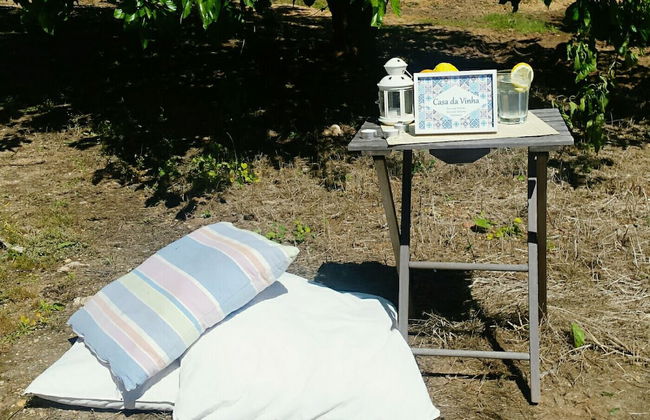 Casa da Vinha - Foto 19