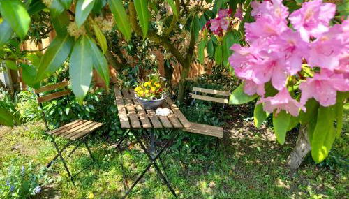 Ferienhaus Helmig - Photo 5, Garden