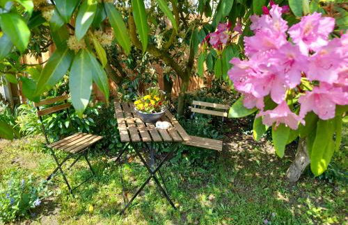 Ferienhaus Helmig - Foto 5