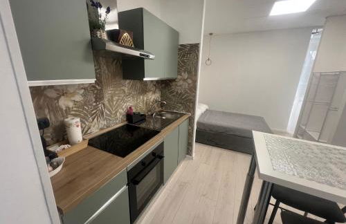 Lungotevere Testaccio 6 Roma - Apartments - Foto 54