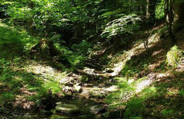 Apartament Spokojna Wisła - Foto 13