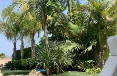 Villa mulet - Photo 1