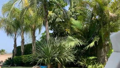 Villa mulet - Foto 1, Garden, sunbed, Garden view