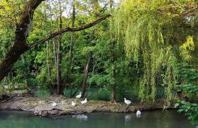 DUPLEX 2 en 1 - Proche de Disneyland Paris - Foto 71