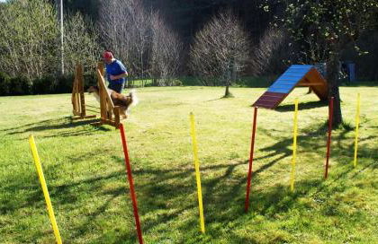 Pension Hessenmühle - Foto 23