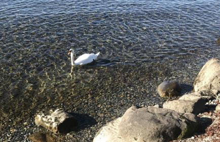 Maisonette am See - Foto 34