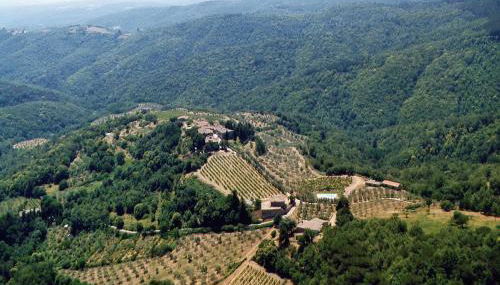 Azienda Agricola di Fietri - Foto 4