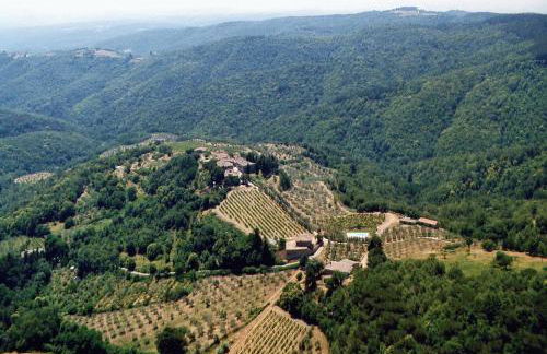 Azienda Agricola di Fietri - Foto 4