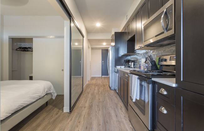 Domicile Suites at Cove - Photo 35