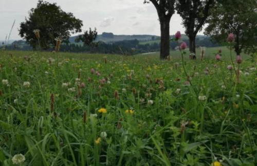 Gorgeous Holiday Home in Altenfeld Thuringia - Foto 115