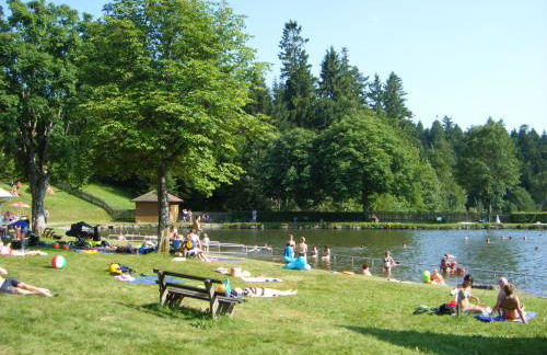 Landhaus-Apartment Feldbergblick - Foto 33