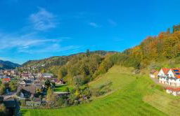 Ferienwohnungen im Herzen des Renchtals - Foto 1