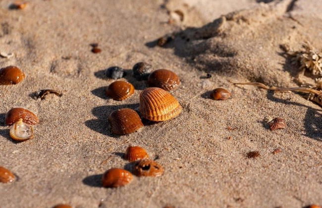 Restyled Villa With Dishwasher, Near the Beach - Photo 26