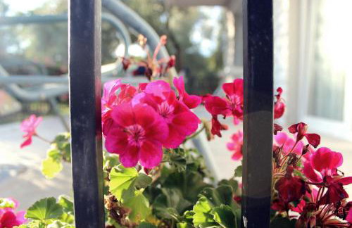 Turković Apartments - Foto 19