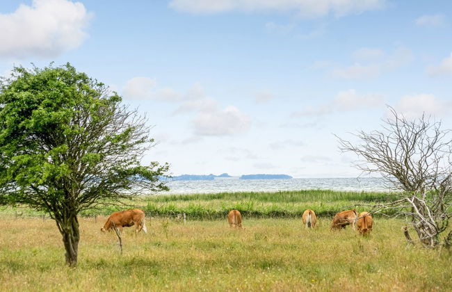 "Bernadete" - 50m to the fjord - Foto 4