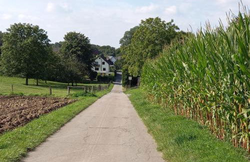 Bauernhof Sesterhenn - Foto 39