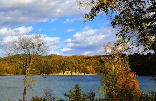 Brama Sanu - z prywatną linią brzegową Jeziora Solińskiego - pomosty - pontony - basen sezonowy - Foto 42