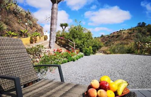 La cara Luna - Foto 25