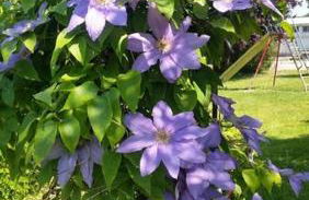 Agriturismo Le Caldane - Photo 22