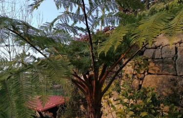 CAMPO DE SOBARBO - Guest House rural - Photo 20