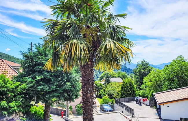 Casa Naima - Foto 28