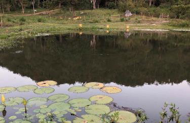 Chalé Suíço Nupcial - Chalés Belo Monte - Sítio Belo Monte - Foto 33