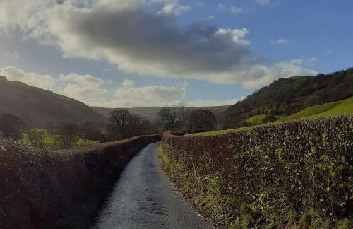 Y Llew Bach, the tiny house - Photo 10