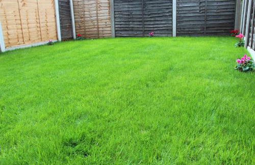 Mosh Homes - Foto 49