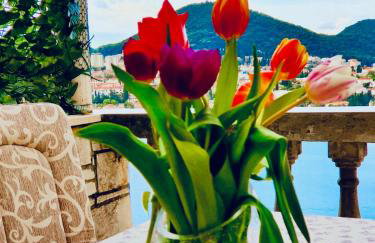 Dalmatian House, spacious stone terraces, balcony , views - Foto 74