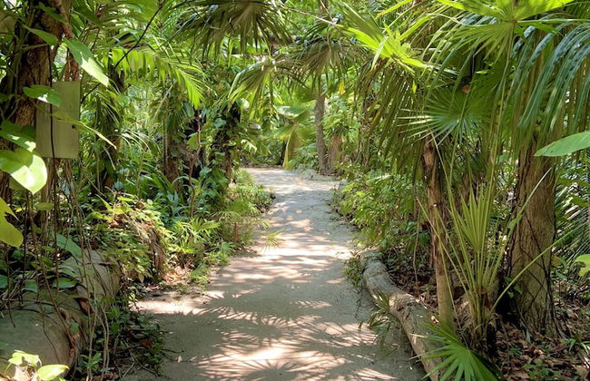 Xanadu Island Resort - Foto 76