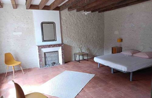 Maison de famille - grand jardin clos - 15mn du zoo de Beauval - Photo 15