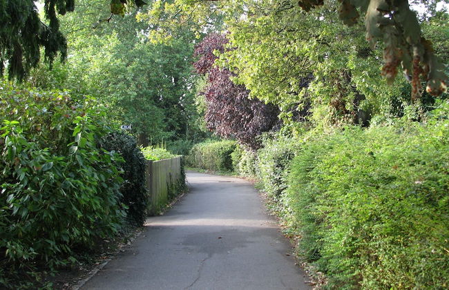 Apartments on the Park - Foto 26