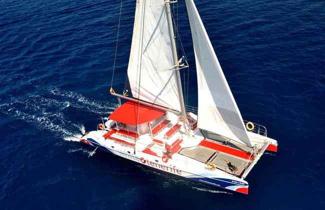 Giro in catamarano di 5 ore con avvistamento e ascolto di cetacei - Foto 1