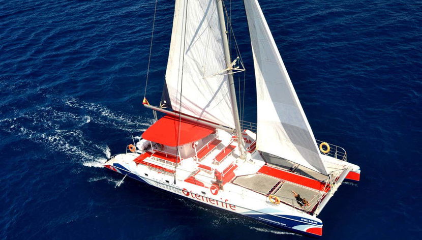 Divisando los cetáceos desde un catamarán