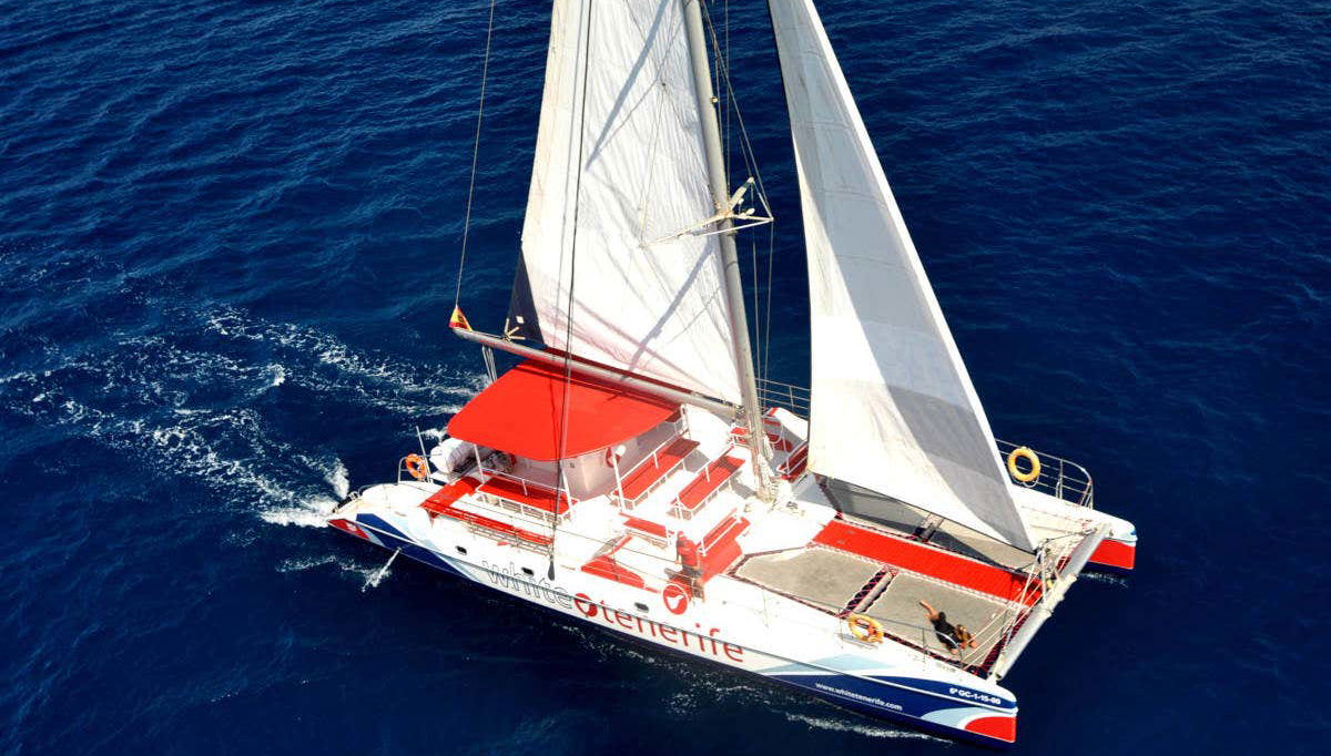 Giro in catamarano di 5 ore con avvistamento e ascolto di cetacei - Foto 1