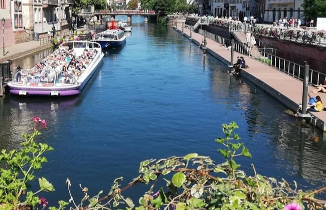 R Appartements Strasbourg - Foto 12