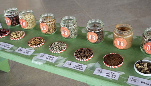 Diferentes tipos de café