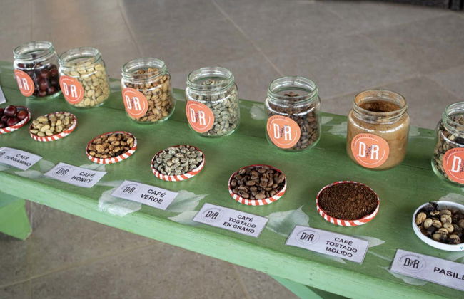 Tour do café por Jericó - Foto 4