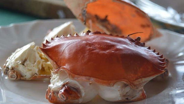 Un des plats du déjeuner