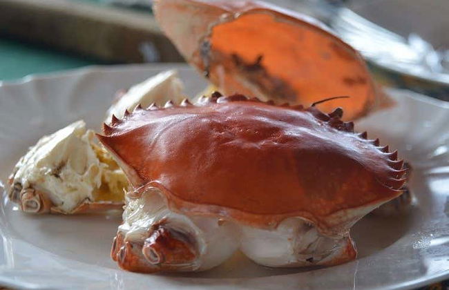 Avistamiento de delfines en el Parque Nacional Marino Kisite - Foto 5