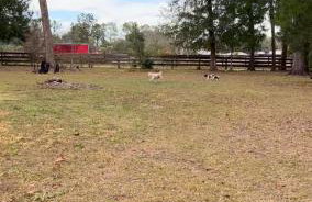 Happy Place near WEC , Natural Springs,Zip-Line - Photo 24