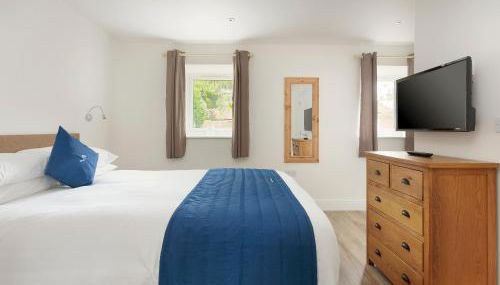 Crested Grebe - Ukc2109 - Foto 5