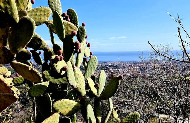 Etna Panoramic Villa With Swimming Pool - Foto 47