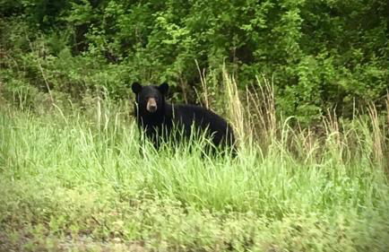 Baxter Farmhouse - Foto 30