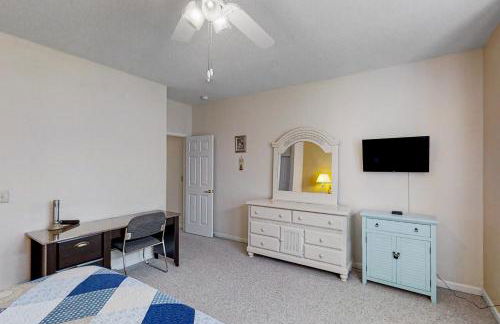 Scotch Broom E-104 - Foto 18