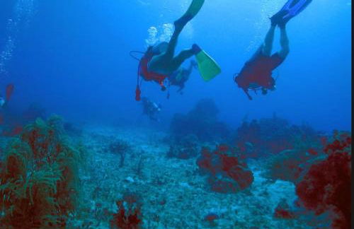 NUEVO Preciosa villa entre Denia y Javea - Foto 43