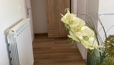 Apartments Maris - Foto 4