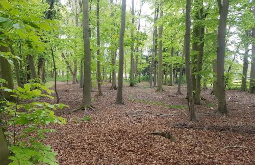 Spacious Country House Apartment - Foto 43