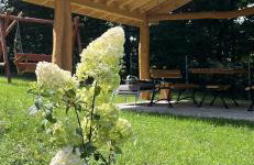 Domek w lesie Sauna i Gorąca balia Wellness&Spa - Foto 8