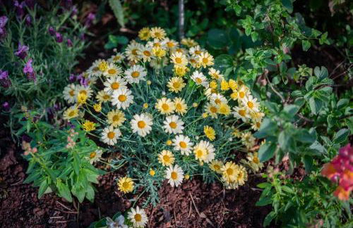 Agriturismo Country Casale Rufo - Foto 68